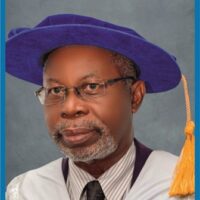 Prof Nwankwo_336x375